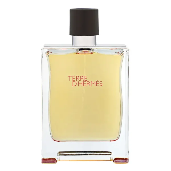 Hermès Terre D’Hermès – Eau de Toilette, 100ml